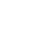 lib icon